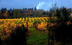Cowichan Valley in the Fall