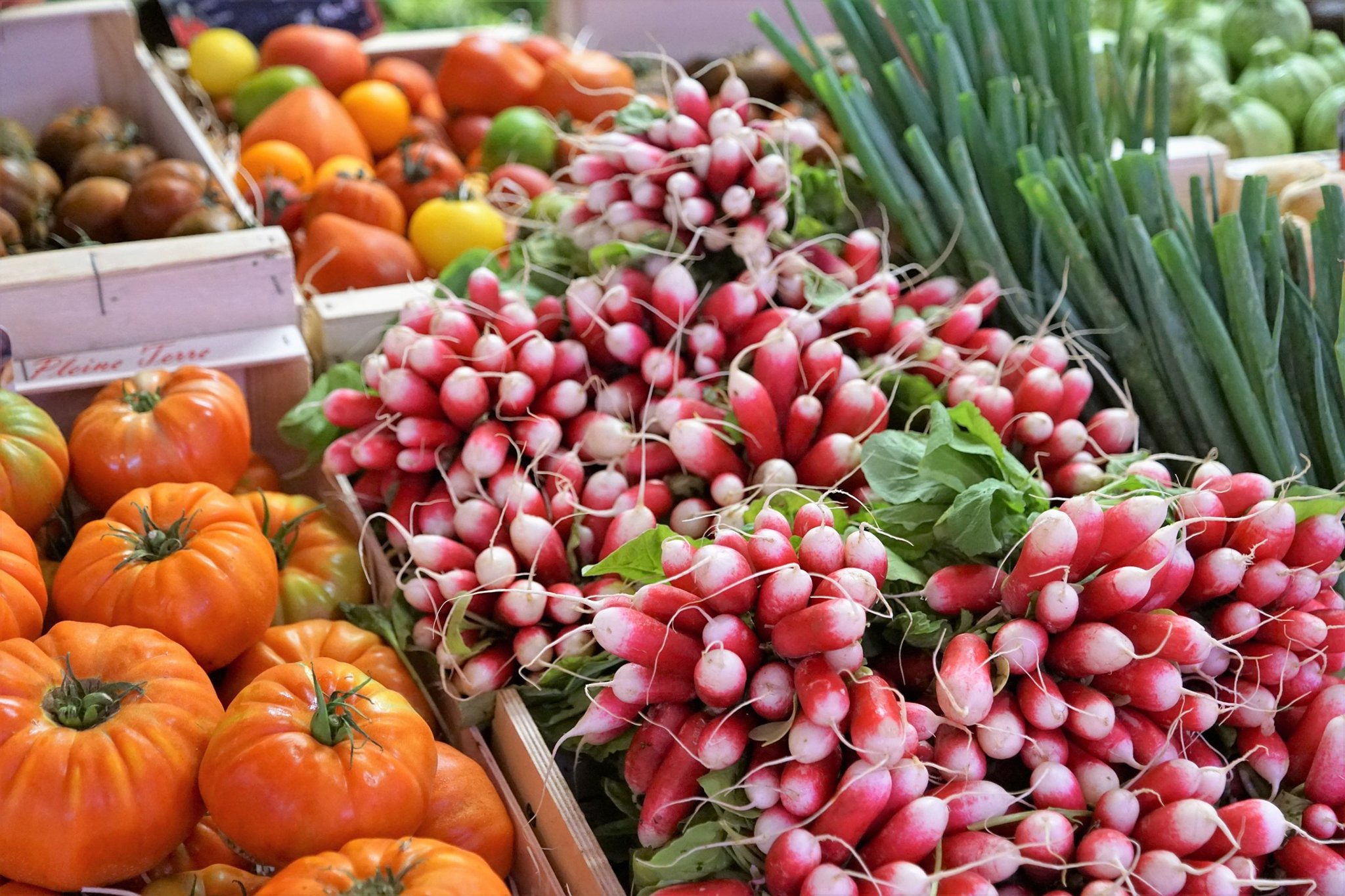 August 1st, 2020 - Celebrate Food Day Canada - Mulligan Stew